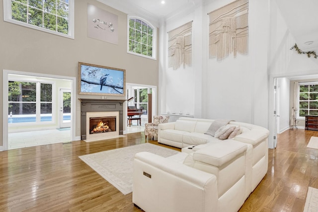 6948 Whispering Oaks Dr, Springfield, TN 37172 - living room with a towering ceiling, wood finished floors, and a fireplace with flush hearth