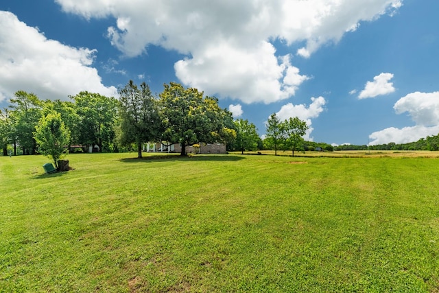 175 Prospect Rd, Fayetteville, TN 37334 - photo 32