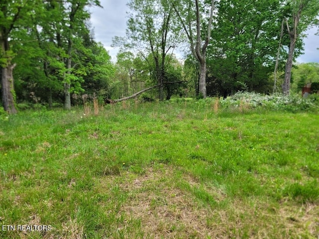1560 Shirley Rd, Allardt, TN 38504