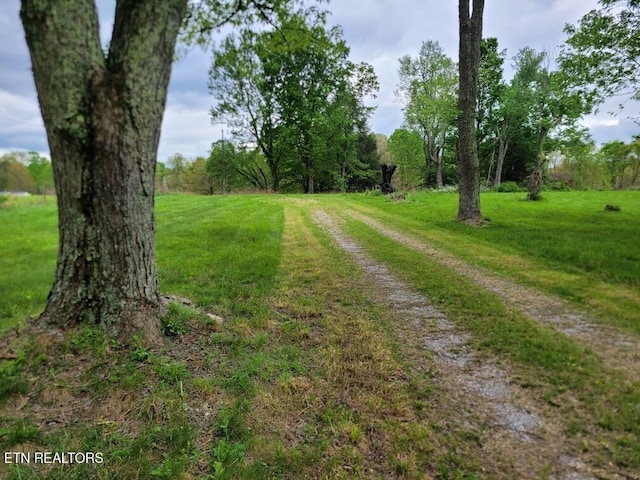 1560 Shirley Rd, Allardt, TN 38504