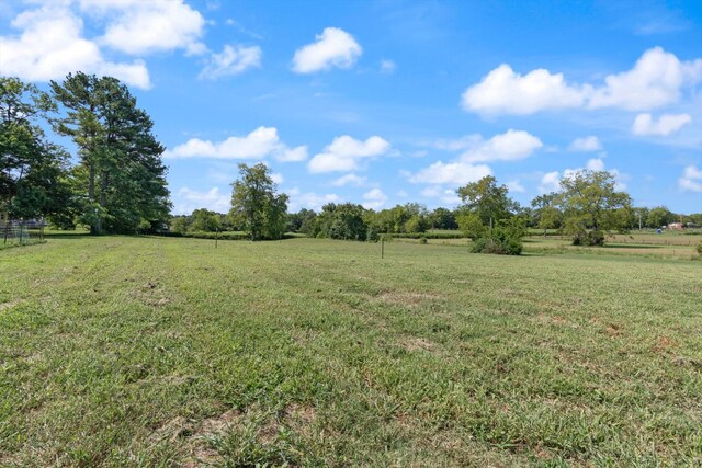 0 Midland Fosterville Rd, Bell Buckle, TN 37020 - photo 4
