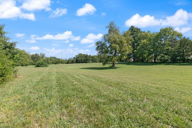 0 Midland Fosterville Rd, Bell Buckle, TN 37020 - photo 2
