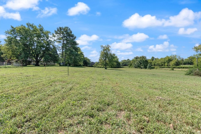 0 Midland Fosterville Rd, Bell Buckle, TN 37020 - photo 3