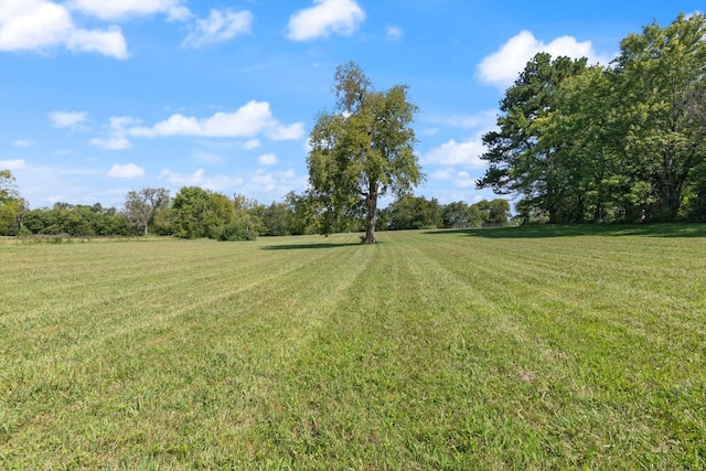0 Midland Fosterville Rd, Bell Buckle, TN 37020 - photo 1