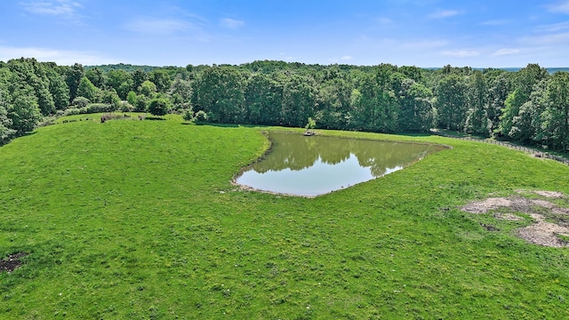 1313 Ridge Rd, Dickson, TN 37055 - water view