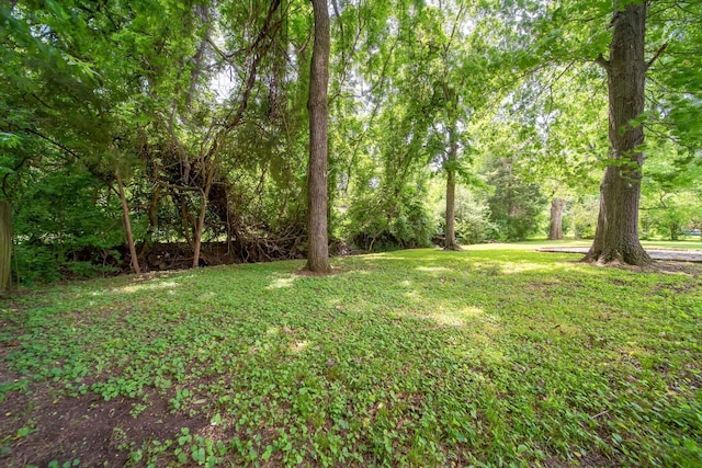 120 Donna Dr, Hendersonville, TN 37075 - view of grassy yard