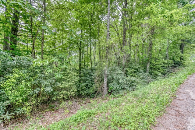 996 Fox Hollow Rd, Mountain City, TN 37683 - photo 4