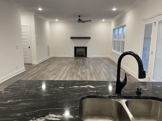 693 Eva Agnes, Clarksville, TN 37042 - unfurnished living room with a sink, ceiling fan, wood finished floors, crown molding, and recessed lighting