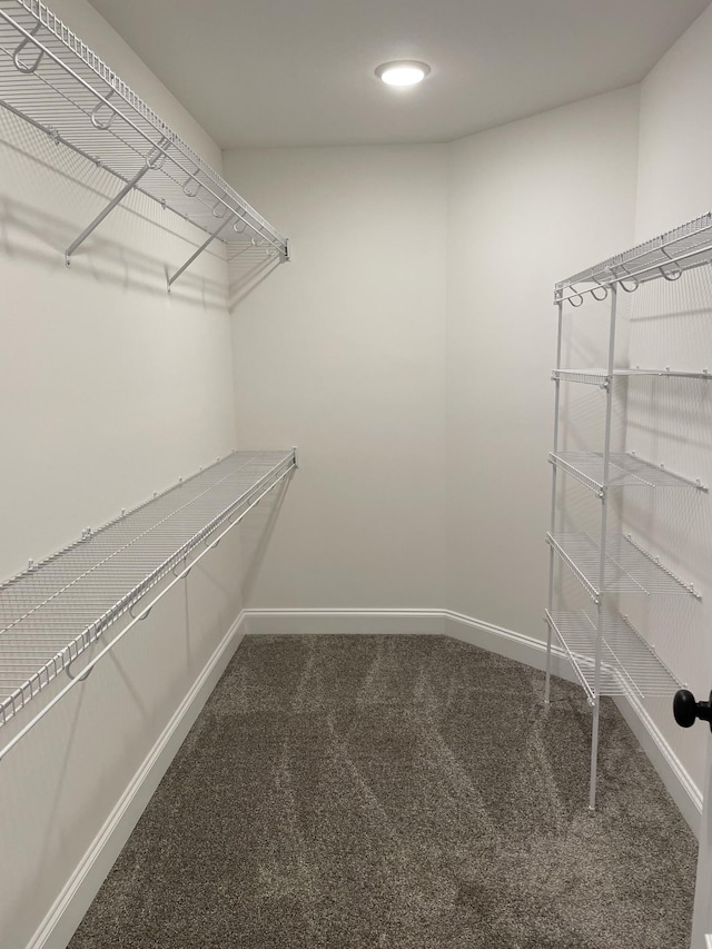 693 Eva Agnes, Clarksville, TN 37042 - walk in closet featuring carpet floors