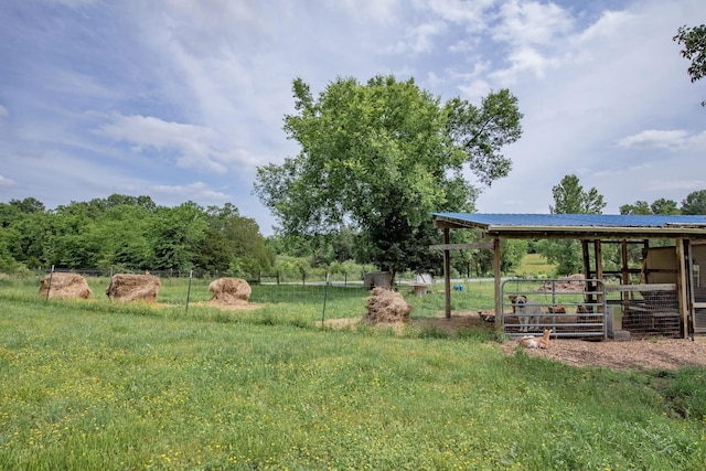 222 Preacher Roberson Rd, Castalian Springs, TN 37031 - view of yard with an exterior structure and an outdoor structure