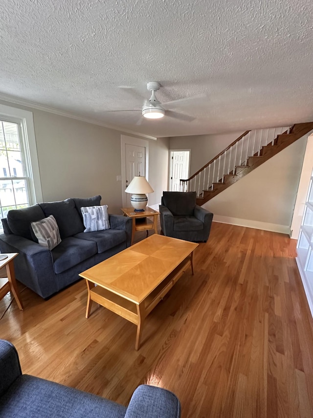 108 King St, Mcminnville, TN 37110 - photo 10