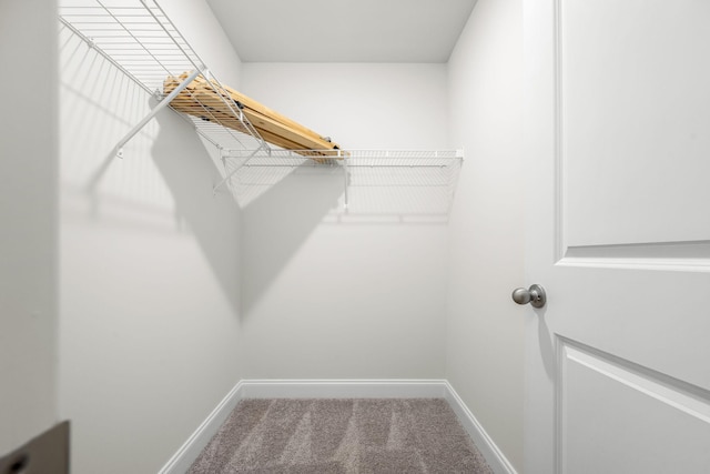 818 Arrington Way, Columbia, TN 38401 - spacious closet with carpet
