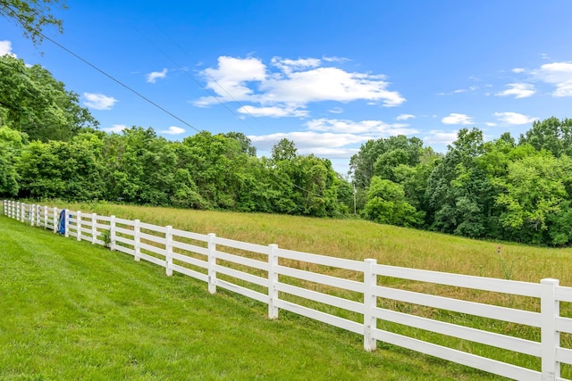 2391 Double Branch Rd, Columbia, TN 38401 - photo 33