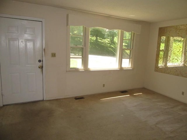 107 Jay Cir, Clarksville, TN 37040 - entryway featuring carpet floors