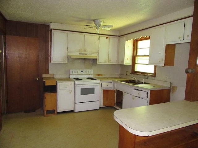 107 Jay Cir, Clarksville, TN 37040 - kitchen featuring white range with electric stovetop, under cabinet range hood, a sink, ceiling fan, and light floors
