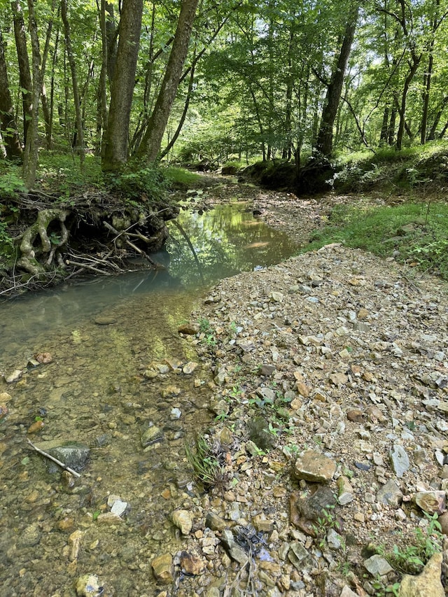 2993 Hobbitshire Dr, Centerville, TN 37033 - view of undeveloped land