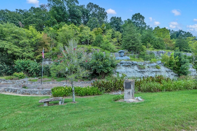 2993 Hobbitshire Dr, Centerville, TN 37033 - view of green lawn