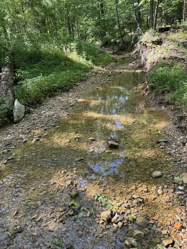 2993 Hobbitshire Dr, Centerville, TN 37033 - view of local wilderness