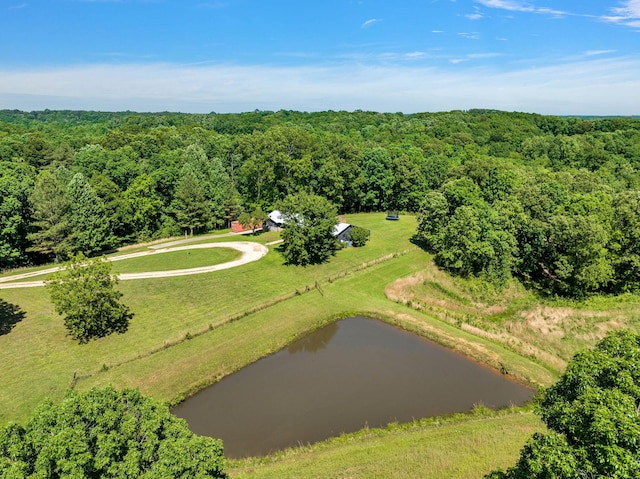 2993 Hobbitshire Dr, Centerville, TN 37033 - aerial view of a large body of water and a forest