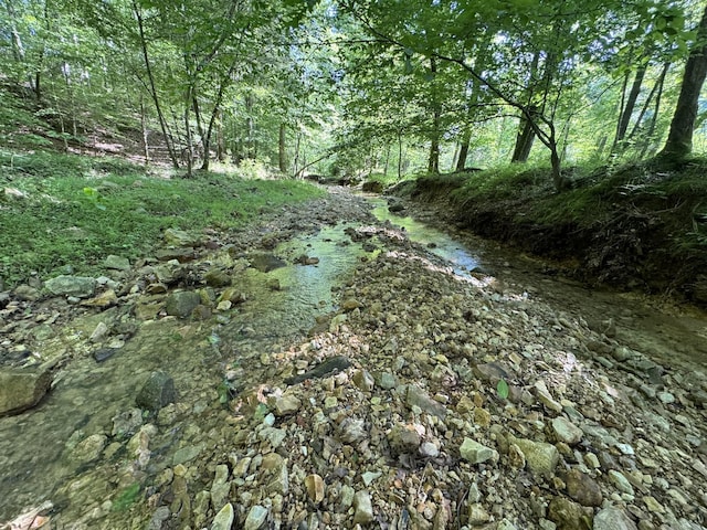 2993 Hobbitshire Dr, Centerville, TN 37033 - water view