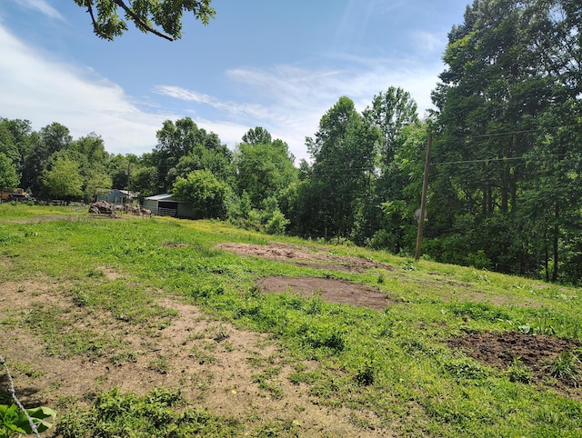1004 Haydenburg Rd, Whitleyville, TN 38588 - view of yard
