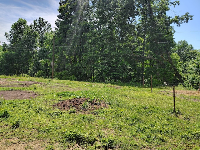 1004 Haydenburg Rd, Whitleyville, TN 38588 - view of yard with a view of trees