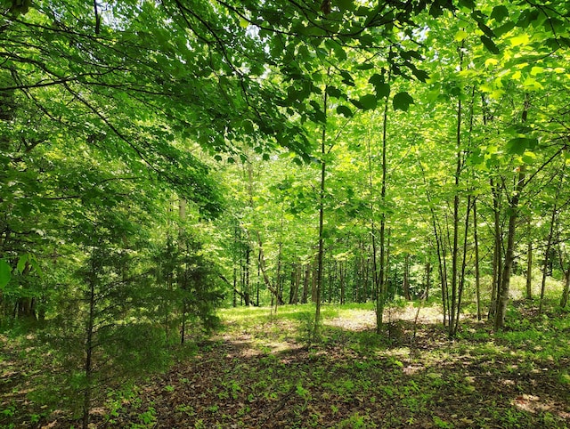 1004 Haydenburg Rd, Whitleyville, TN 38588 - view of wooded area