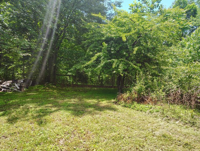 1004 Haydenburg Rd, Whitleyville, TN 38588 - view of grassy yard featuring a forest view