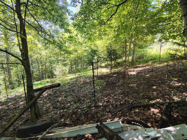 1004 Haydenburg Rd, Whitleyville, TN 38588 - view of yard with a view of trees