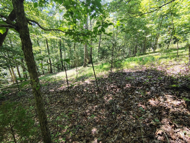 1004 Haydenburg Rd, Whitleyville, TN 38588 - view of wooded area