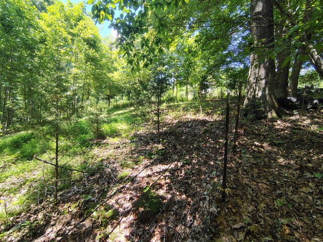 1004 Haydenburg Rd, Whitleyville, TN 38588 - view of tree filled area
