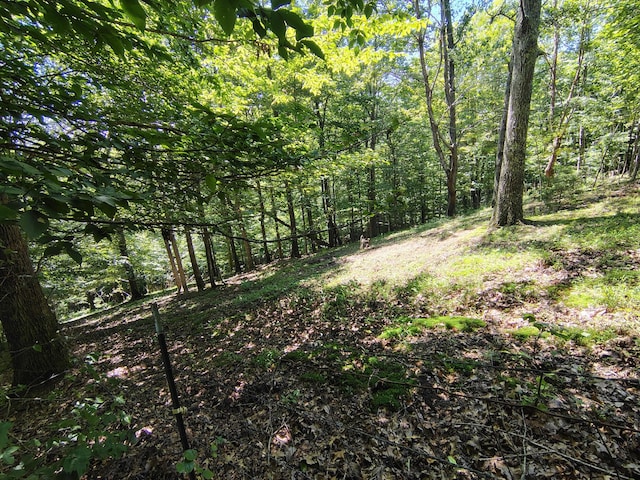 1004 Haydenburg Rd, Whitleyville, TN 38588 - view of woods