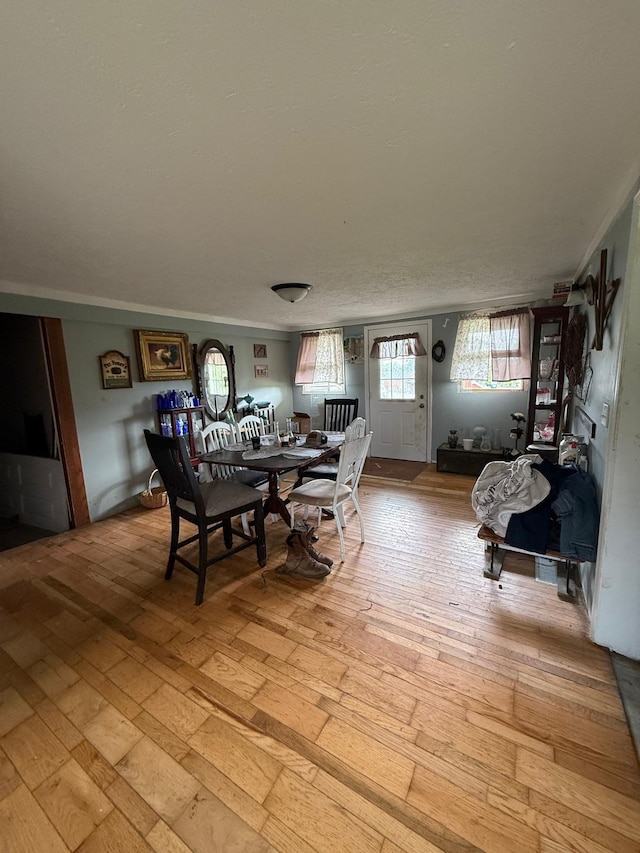 41 Park Dr, Beechmont, KY 42323 - dining room with light wood-type flooring