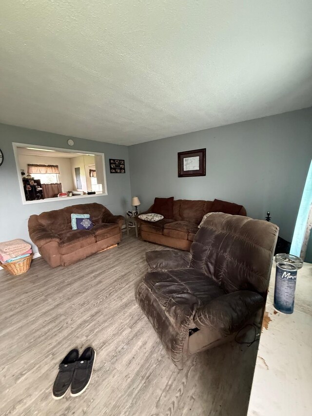 41 Park Dr, Beechmont, KY 42323 - living room with wood finished floors and a textured ceiling