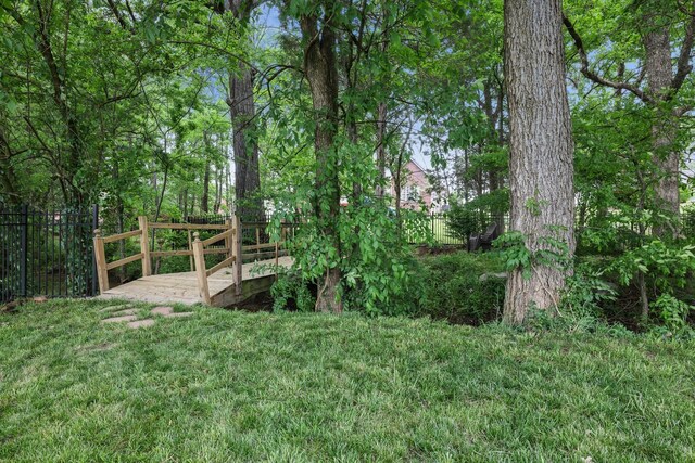 1315 Marathon Dr, Murfreesboro, TN 37129 - photo 17