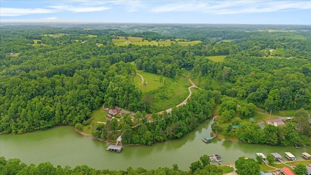 3T Barnes Ln, Lynchburg, TN 37352