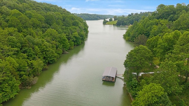 3T Barnes Ln, Lynchburg, TN 37352