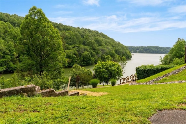 3T Barnes Ln, Lynchburg, TN 37352