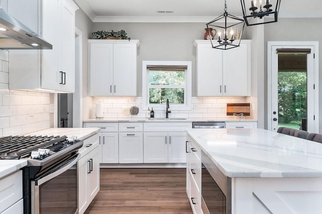 3050 Westowne Cir, Cookeville, TN 38501 - kitchen featuring stainless steel appliances, a sink, range hood, a chandelier, and white cabinets