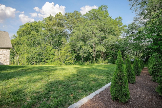 3050 Westowne Cir, Cookeville, TN 38501 - view of green lawn