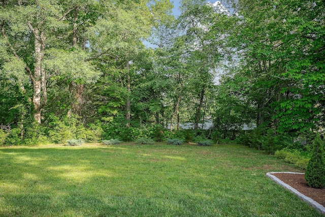 3050 Westowne Cir, Cookeville, TN 38501 - view of grassy yard