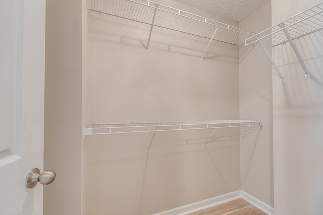 2026 Caladonia Way, Smyrna, TN 37167 - walk in closet with wood finished floors