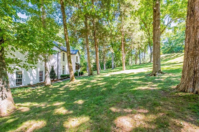 1445 Beddington Park, Nashville, TN 37215 - photo 5
