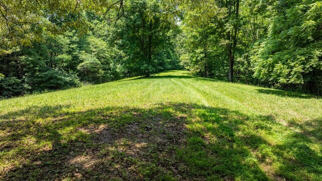 7542 Chestnut Ridge Rd, Winchester, TN 37398 - photo 6
