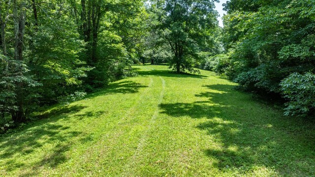 7542 Chestnut Ridge Rd, Winchester, TN 37398 - photo 10