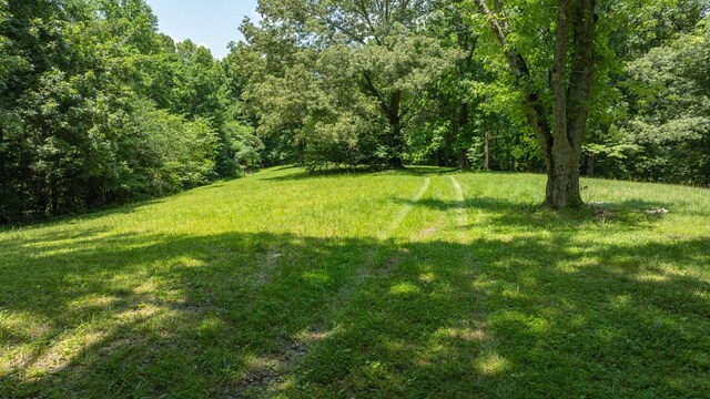 7542 Chestnut Ridge Rd, Winchester, TN 37398 - photo 8