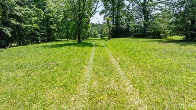 7542 Chestnut Ridge Rd, Winchester, TN 37398 - photo 7