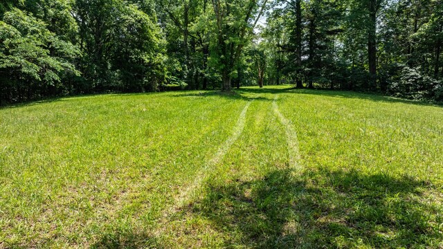 7542 Chestnut Ridge Rd, Winchester, TN 37398 - photo 11