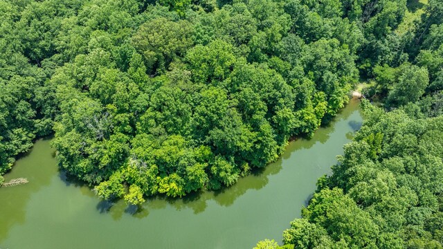 7542 Chestnut Ridge Rd, Winchester, TN 37398 - photo 31