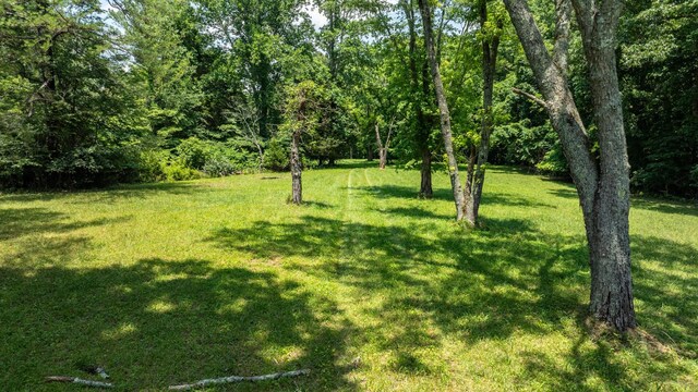 7542 Chestnut Ridge Rd, Winchester, TN 37398 - photo 5